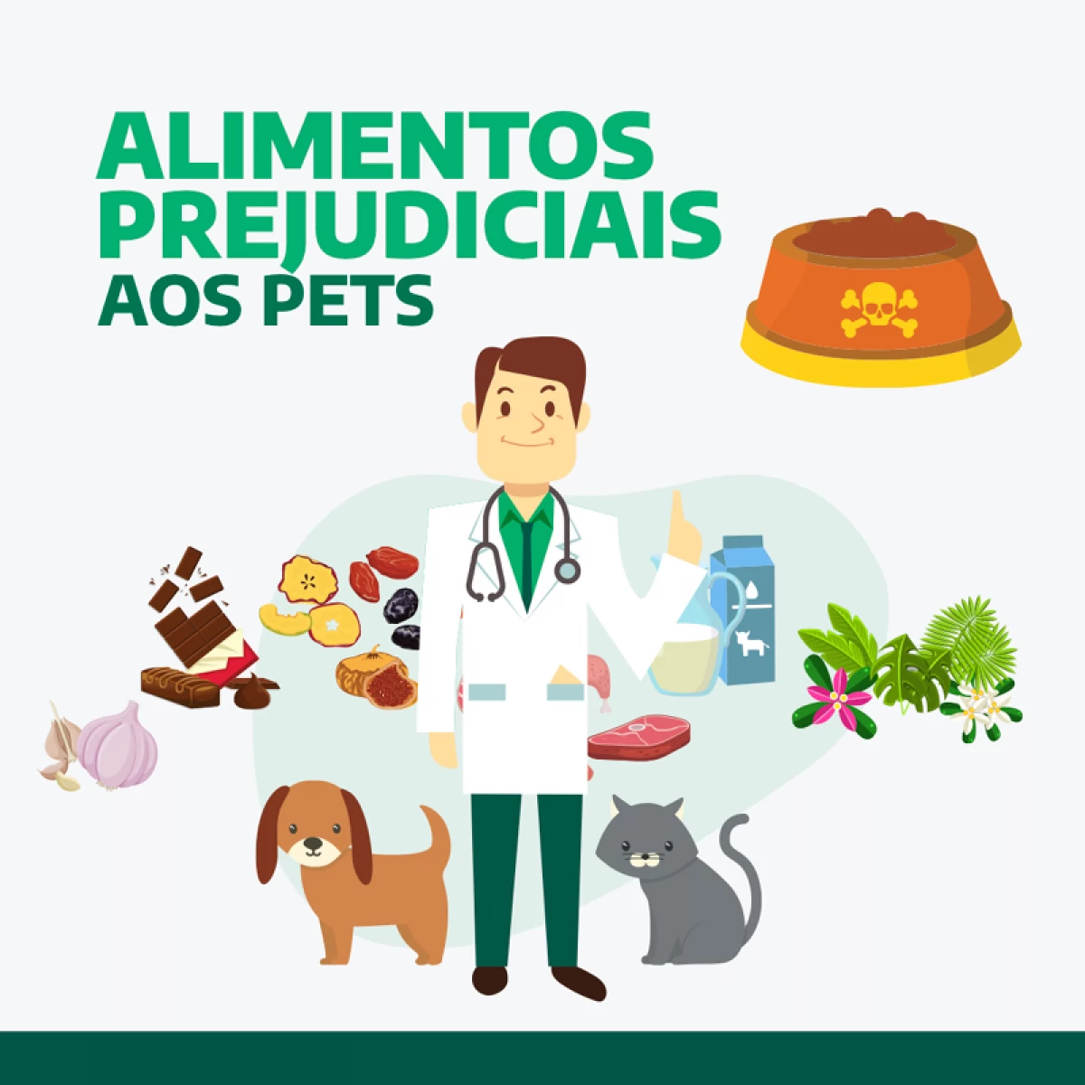 Noticias Vetnil