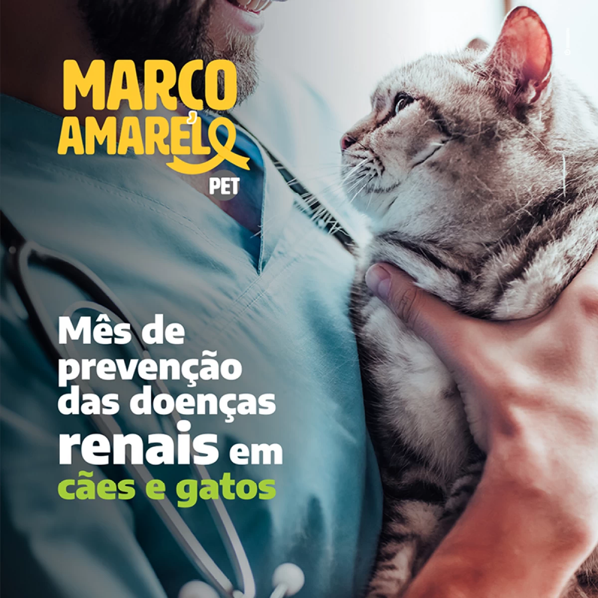 Noticias Vetnil