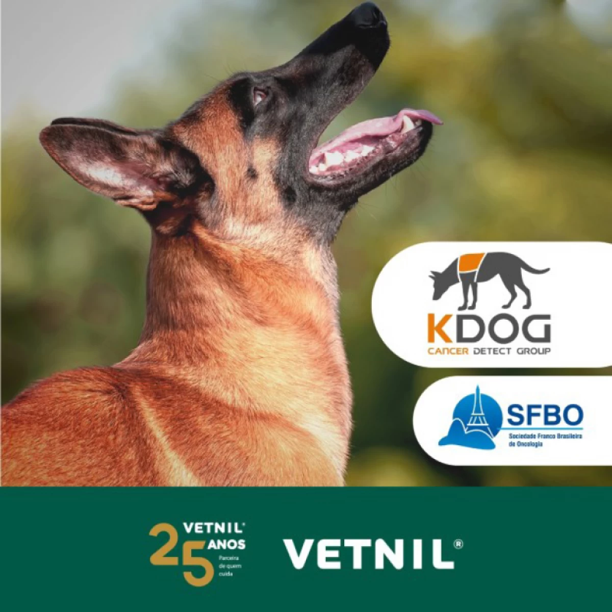 Noticias Vetnil