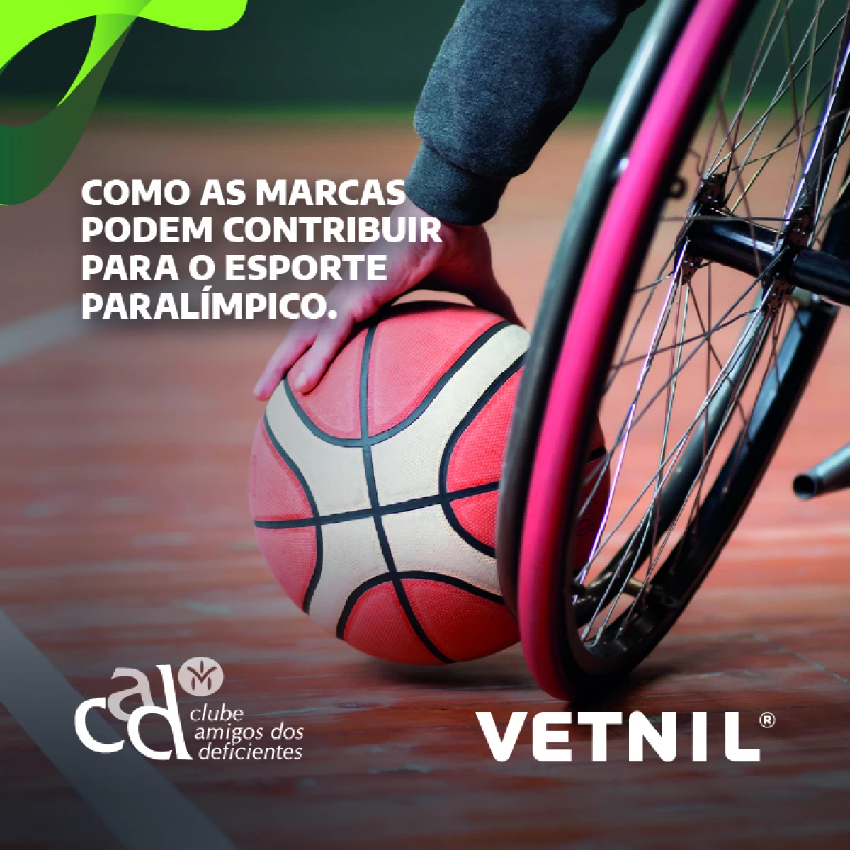 Noticias Vetnil
