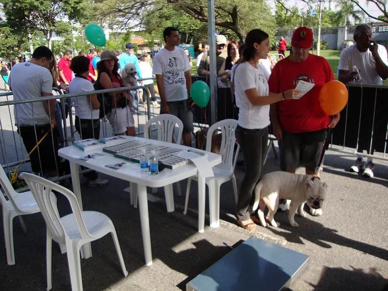 Noticias Vetnil