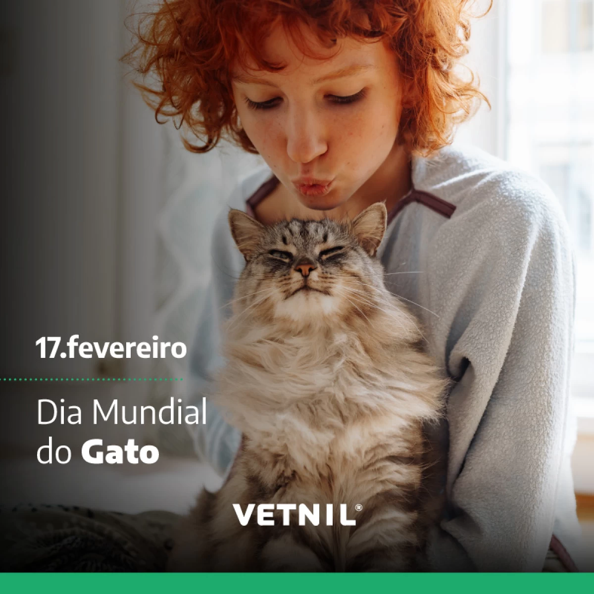 News Vetnil