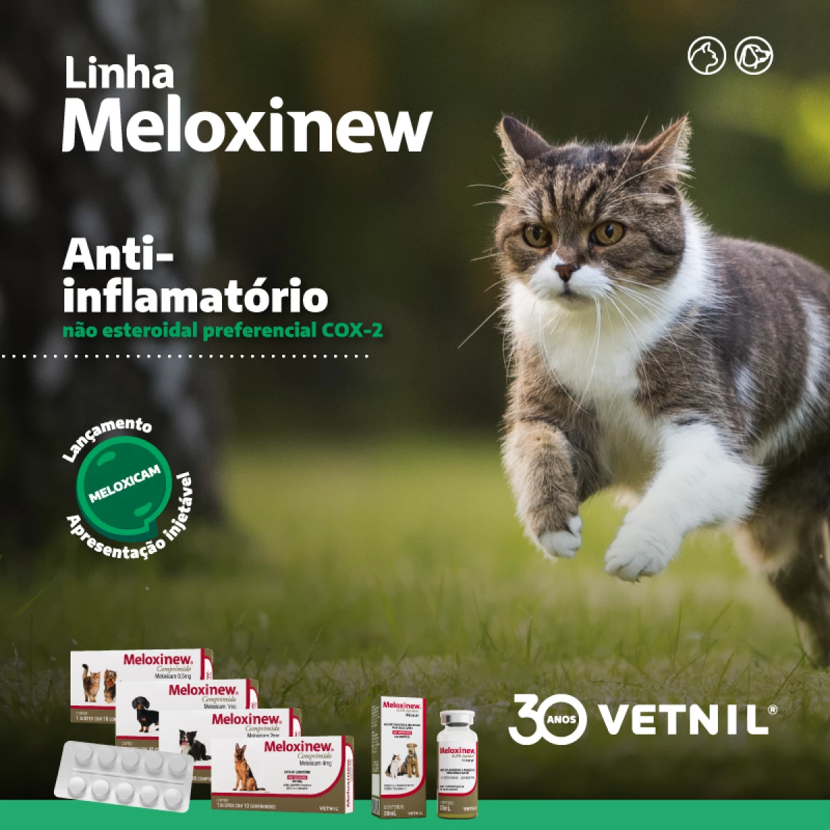News Vetnil