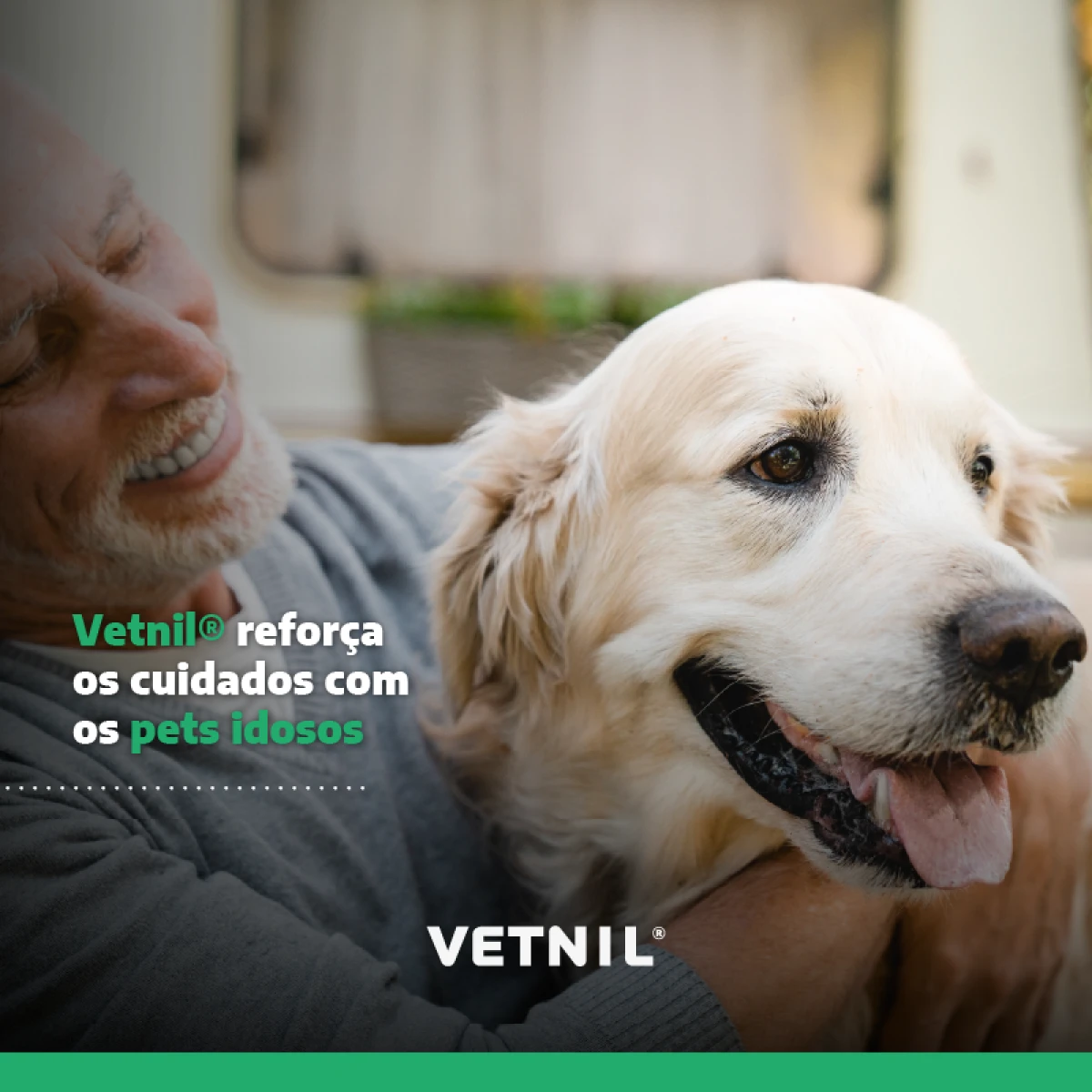 Noticias Vetnil