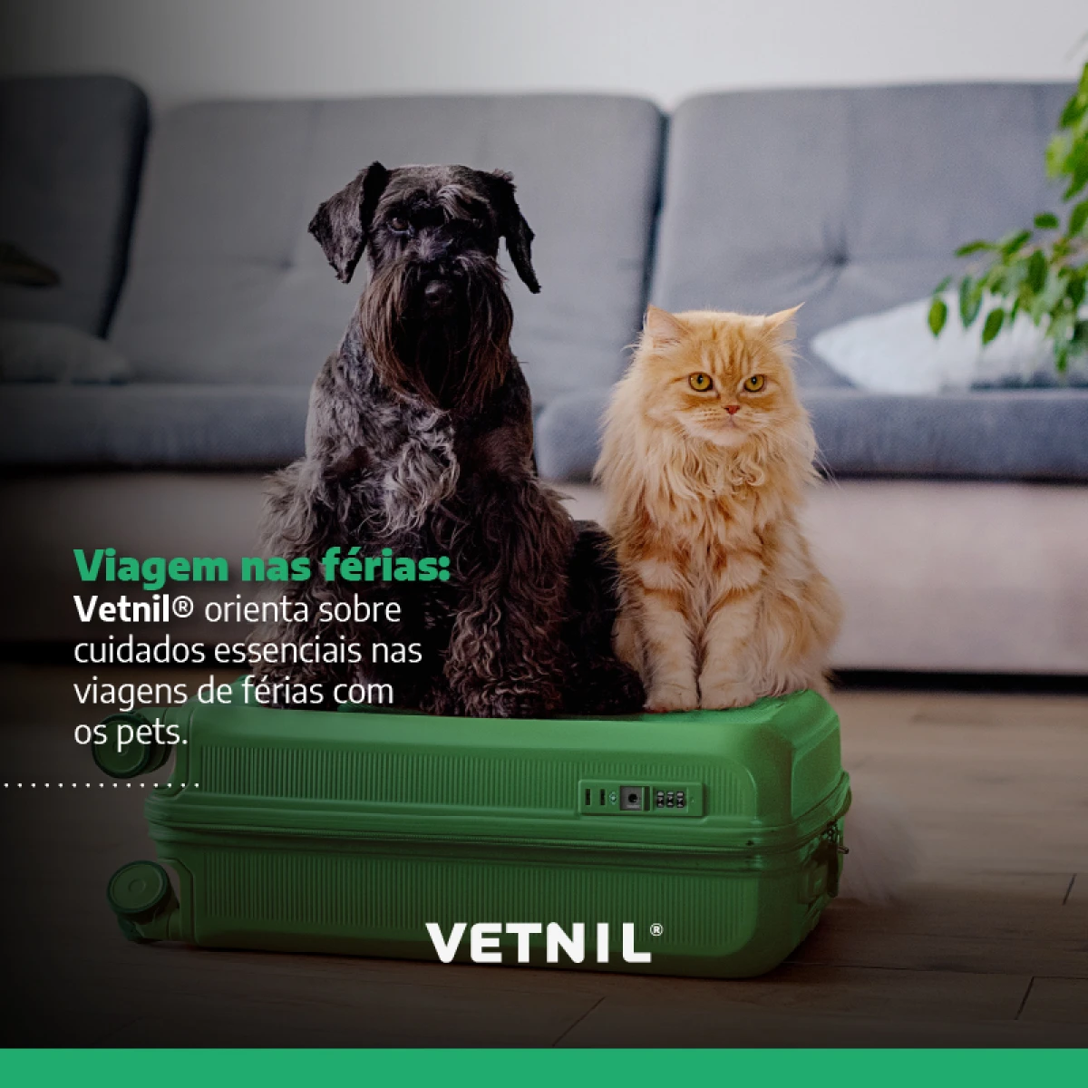 Noticias Vetnil