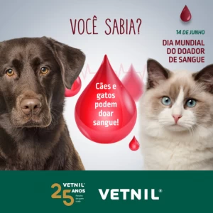 Noticia Vetnil