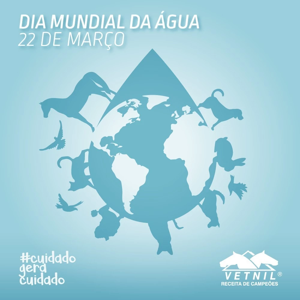 Noticia Vetnil
