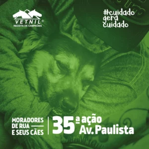 Noticia Vetnil