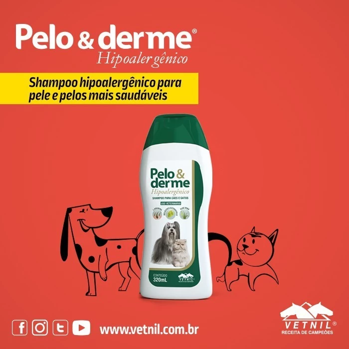 Noticia Vetnil