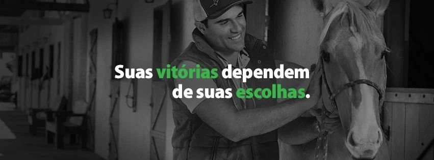 Noticia Vetnil