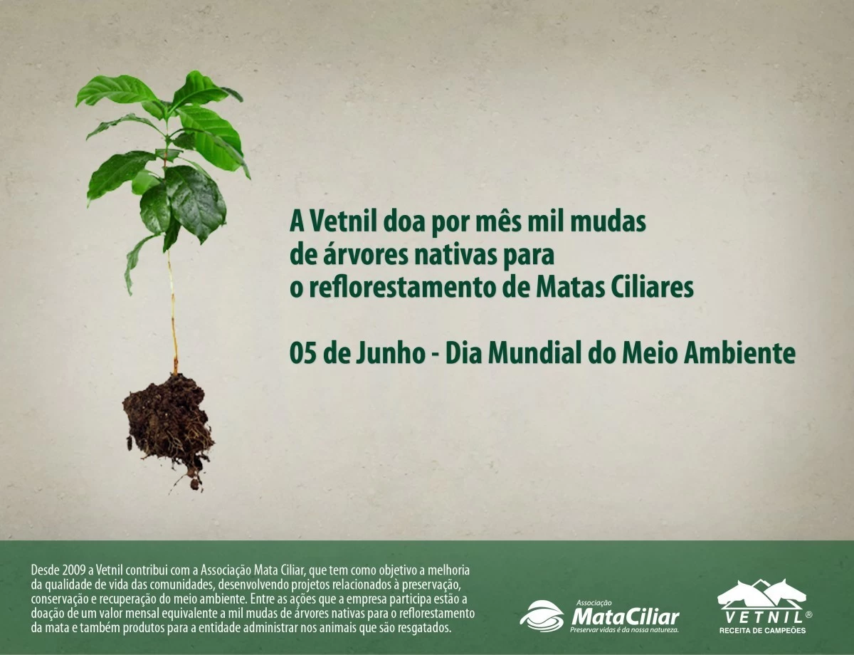 Noticia Vetnil