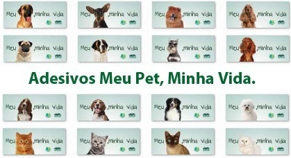 Noticia Vetnil