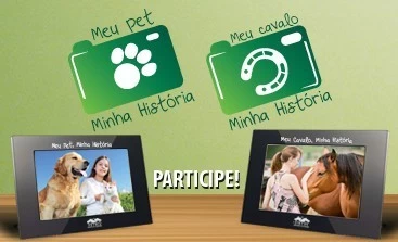 Noticia Vetnil