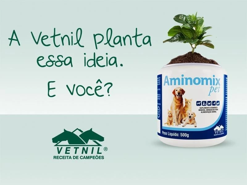 Noticia Vetnil