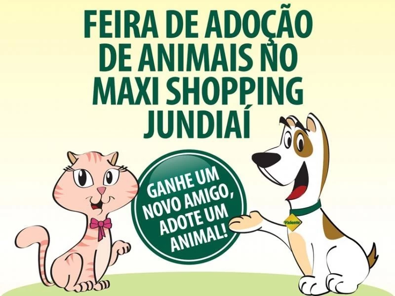 Noticia Vetnil