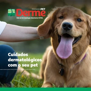 Noticia Vetnil