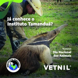 Noticia Vetnil