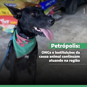 Noticia Vetnil