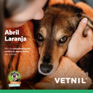 Noticia Vetnil
