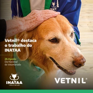 Noticia Vetnil