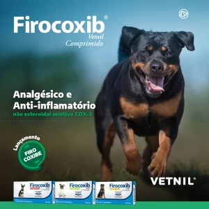 Noticia Vetnil