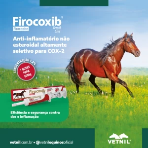 Noticia Vetnil