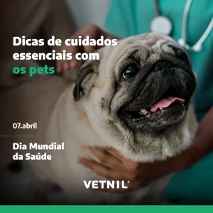 Noticia Vetnil