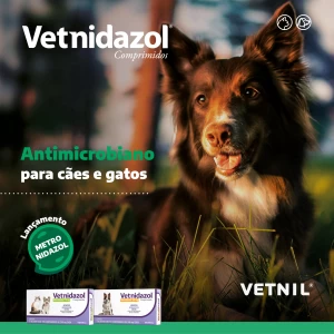 Noticia Vetnil