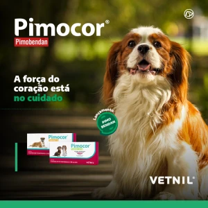Noticia Vetnil