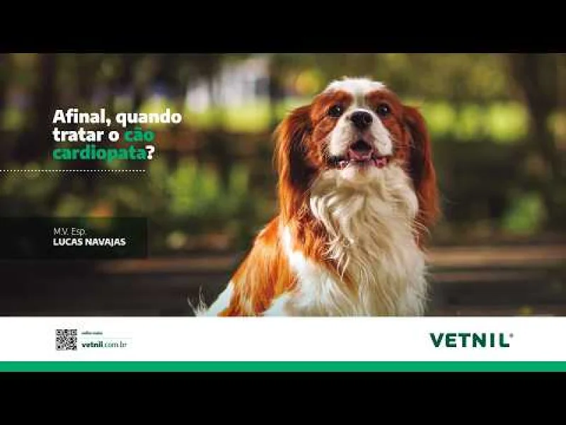 Videoaula 